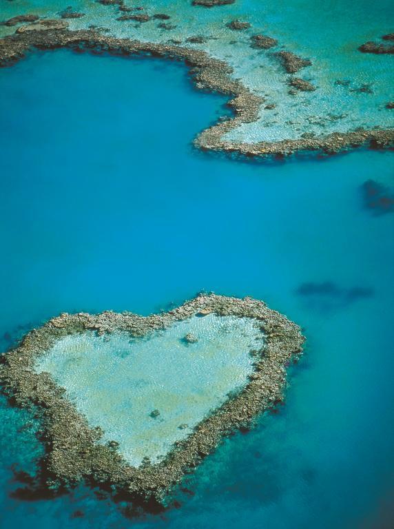 אפרטהוטל איירלי ביץ' At Waterfront Whitsunday Retreat - Adults Only מראה חיצוני תמונה